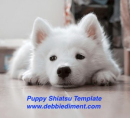 Dog Puppy Shiatsu Template Transmission